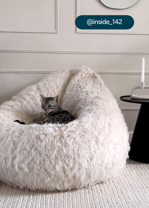Cocoon Bean Bags