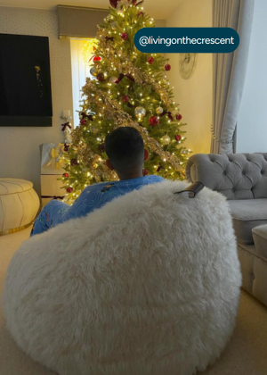 Fur Cocoon Bean Bags