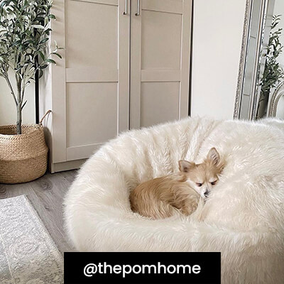 @thepomhome
